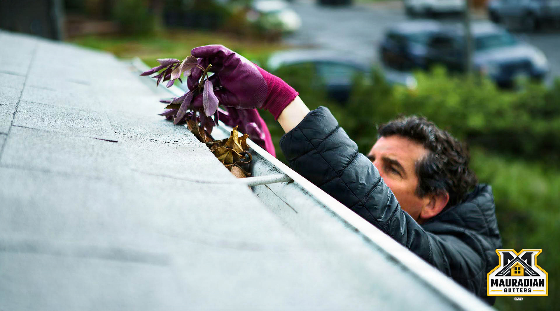 Gutter Cleaning