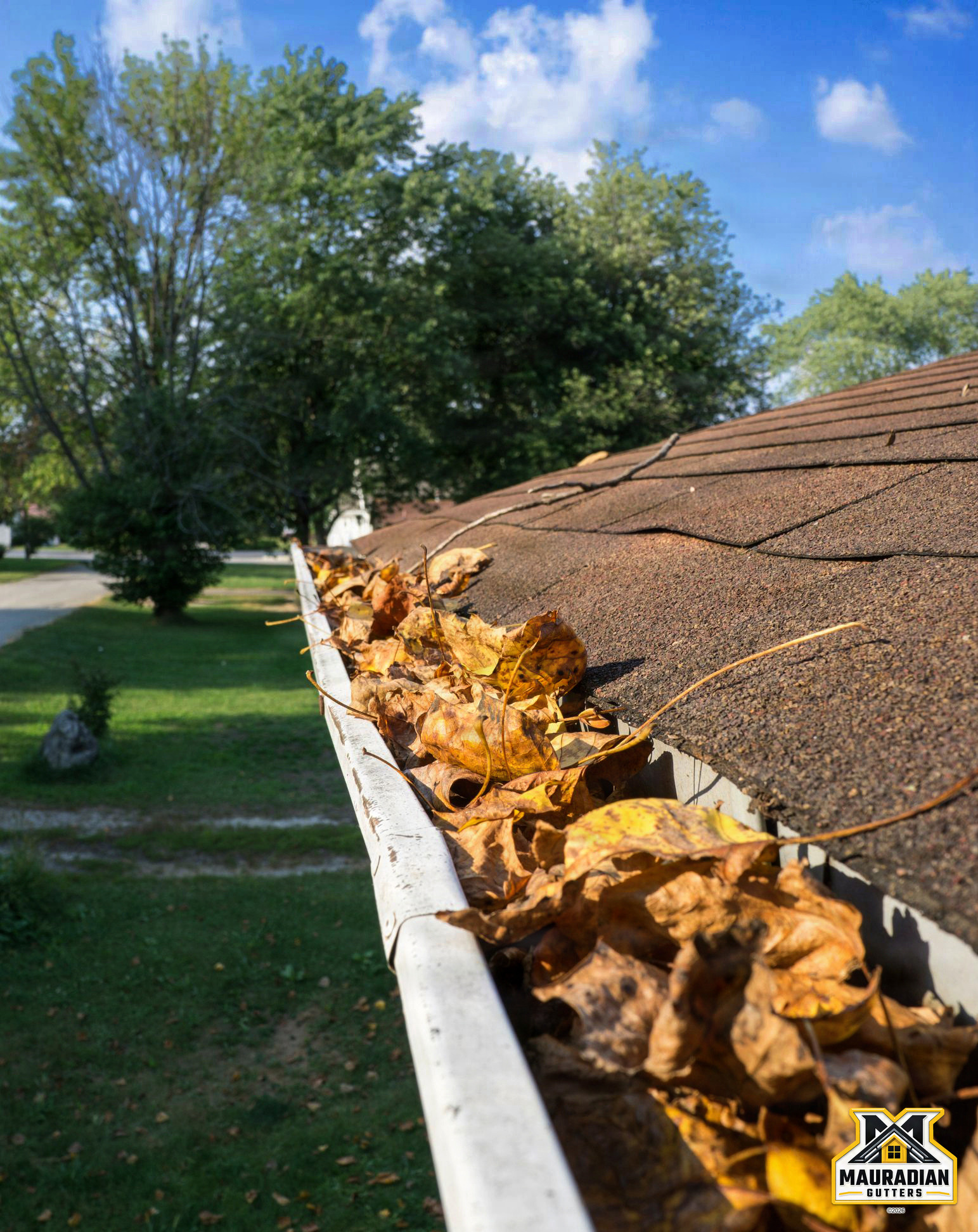 Gutter Cleaning